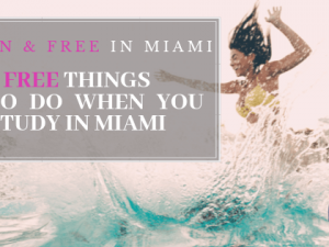7 Fun & Free things in Miami